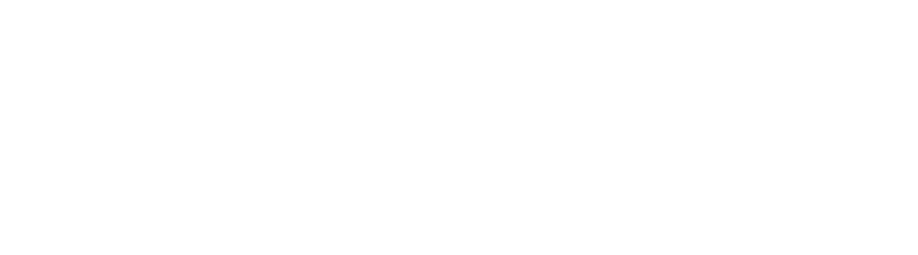 Safran Aircraft Engines